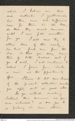 Nachlass Franz Steindachner, Brief von Alexander Goodman More an Franz Steindachner (24.04.1879), Inv.Nr. 349.05, Seite 3